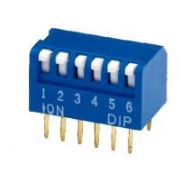 DPL06